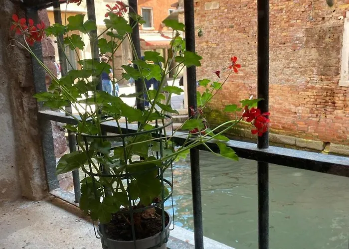 Canal View Apartment *